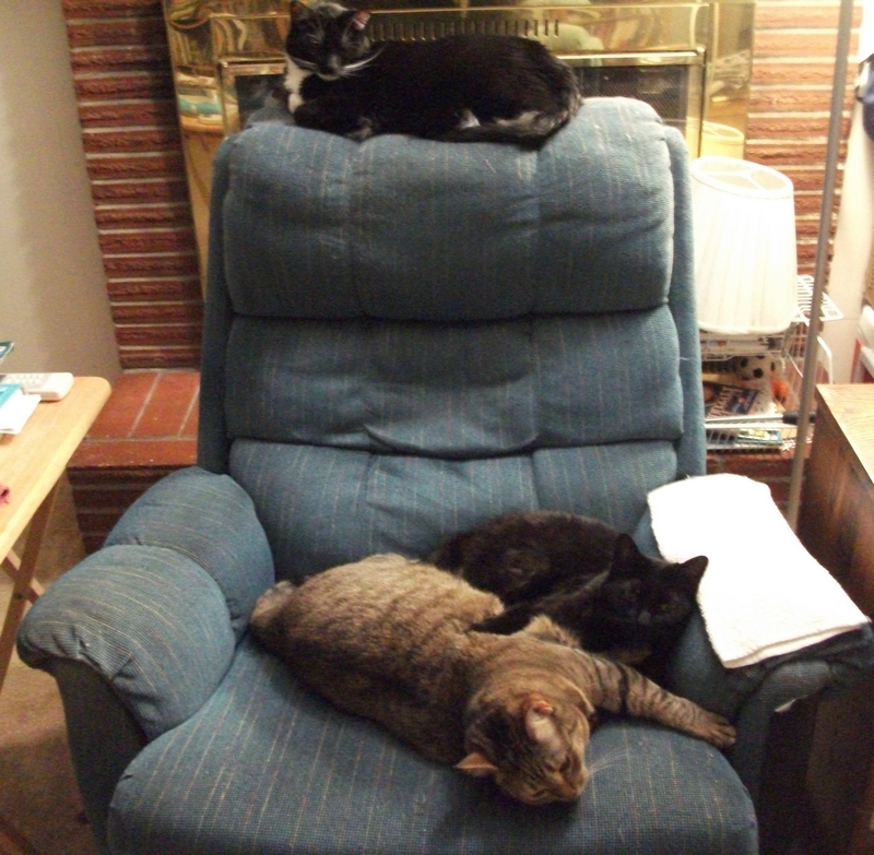 "The Girls" - Oregon